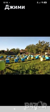 Пчелни Семейства