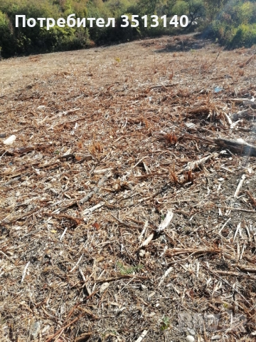 Парцел с. Панчарево, София, снимка 13 - Парцели - 51669556