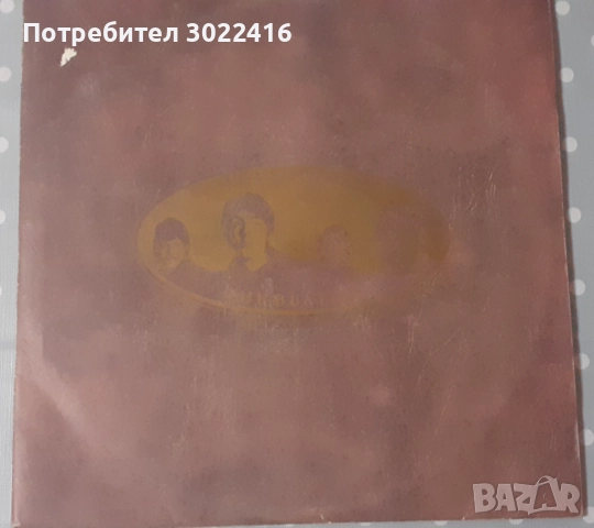 Грамофонни плочи на Бийтълс на около 40 години
