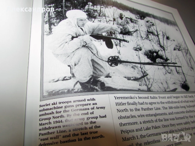 Курск 1943. Балканските битки. Третия Райх, снимка 13 - Енциклопедии, справочници - 53204478