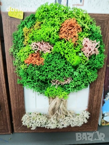 ръчно изработени декорации на живи картини цени от 12 до 65 евро, снимка 3 - Картини - 53941134