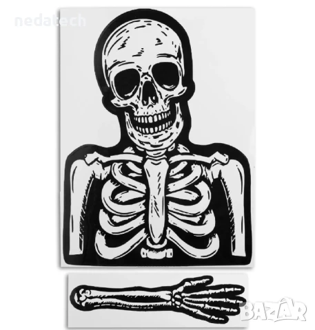 Стикер за чистачки , "Скелет"", 28x22 см. 