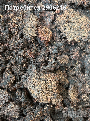 🌿 Продавам натурален бъзов материал (джибър от черен бъз) 🌿  Предлагам остатък от преработени плод