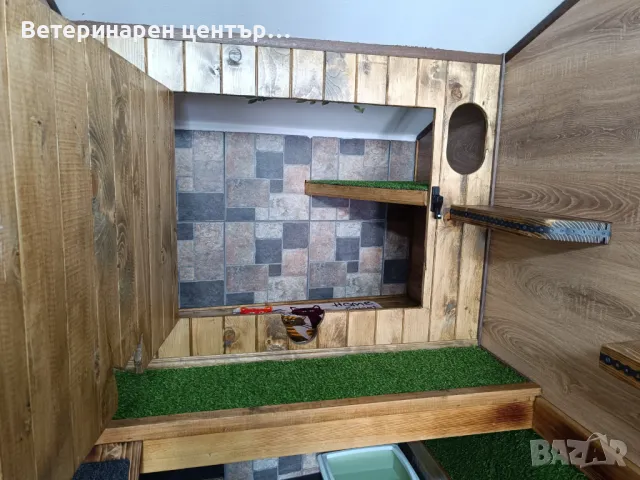 Хотел за котки Уговет , снимка 3 - Ветеринари и услуги - 49763338