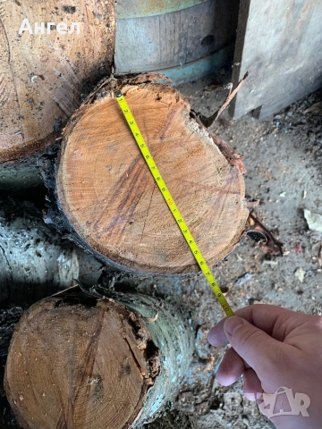 Трупи от череша октомври 2025, снимка 7 - Строителни материали - 52651747