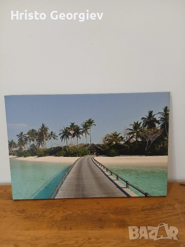 Снимка Картина Малдивите