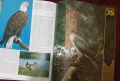 Голяма енциклопедия на птиците / Colour Encyclopedia of Birds, снимка 7