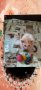 Нови персийски дългокосмести бебета многоцветни разкошни любимци!, снимка 12
