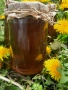 Домашен мед от глухарчета - ценен източник на здраве, снимка 5