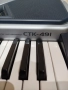 Синтезатор CASIO CTK -491, снимка 7
