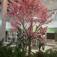 Декоративно дърво за интериор на офиси, кафета, ресторанти, хотели и др. Височина - 2,50, снимка 2 - Изкуствени цветя - 45701609