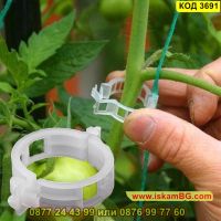 50 броя клипс за поддържане на домати и други растения - КОД 3691, снимка 4 - Други - 45340535