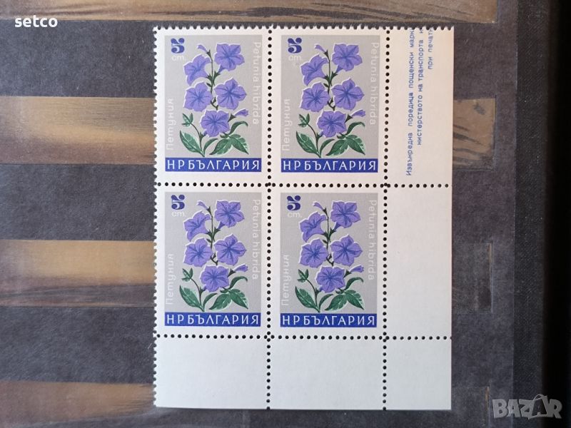 България Флора Градински цветя Петуния 1966 г. каре, снимка 1