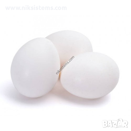 Изкуствени кокоши Яйца пластмасови бели, плътни - Арт. №: 30154, снимка 1