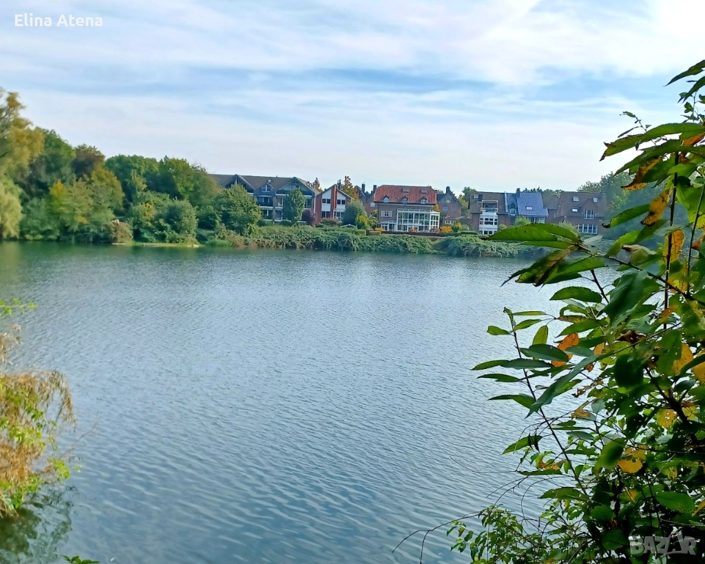 Ние предлагаме работа за болногледачи, снимка 1