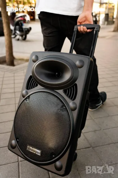 DYNASONIC Dynapro 12 Преносима активна тонколона, снимка 1