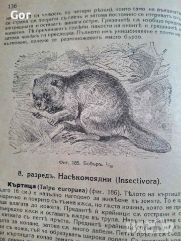 100-годишна антикварна ценност: „Зоология“ (1926) – Изд. Хр. Г. Данов, снимка 8 - Нумизматика и бонистика - 53723683