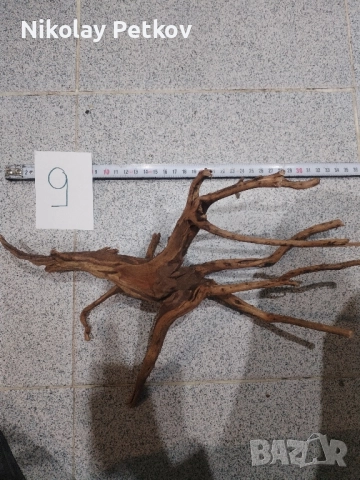 Корени за аквариум, терариум, паладиум , снимка 9 - Аквариуми - 44083269