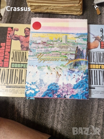 Продавам антикварни книги и други, снимка 9 - Антикварни и старинни предмети - 52002660