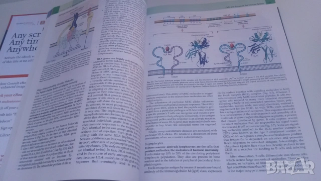 Основна патология - Basic Pathology - Robbins, 10-то издание, снимка 9 - Учебници, учебни тетрадки - 54084484