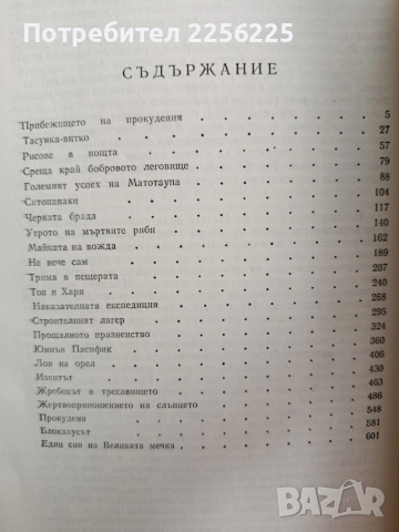Синовете на великата мечка ( 2 том), снимка 2 - Художествена литература - 53442603