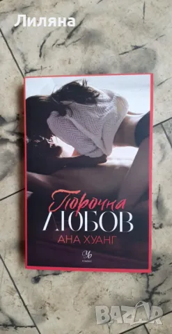 Порочна любов - Ана Хуанг, снимка 1 - Художествена литература - 47134595