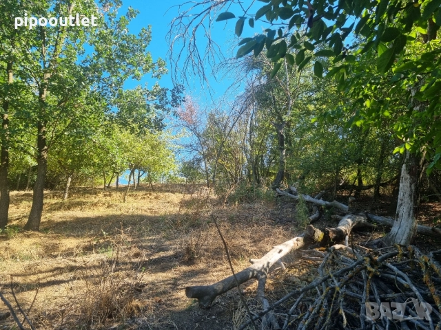 Продава се масивна сграда с двор – с. Марикостиново, общ. Петрич, снимка 13 - Къщи - 51583145