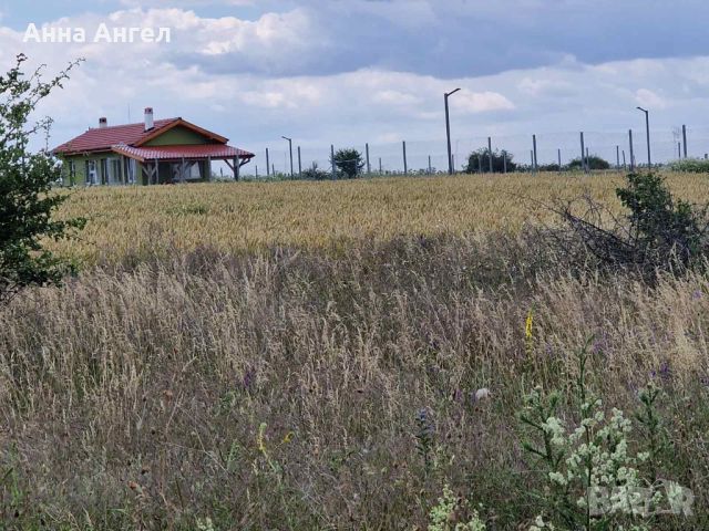 Парцел с. Кичево, 7000 кв.м., снимка 12 - Парцели - 45078629