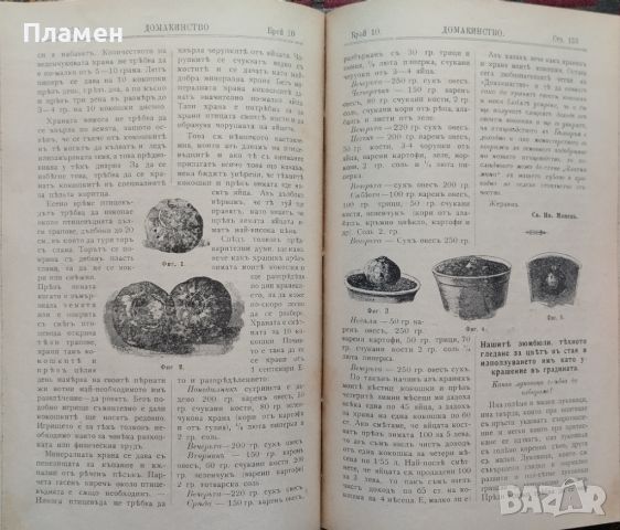 Домакинство. Илюстровано Списание За Всекиго. Год. 3: Брой 1-3, 6-12 /1904, снимка 7 - Антикварни и старинни предмети - 46632312