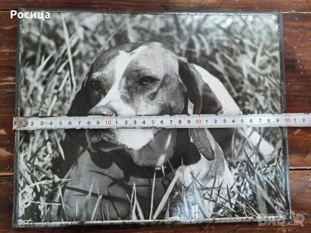 Фотокартина "Охотник", снимка 2 - Декорация за дома - 54029482