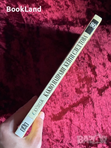 Какво направи Кейти след това| Сюзан Кулидж| Вечните детски романи| ПАН, снимка 2 - Детски книжки - 53987870