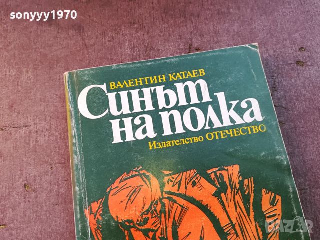 СИНЪТ НА ПОЛКА-КНИГА 0804241011, снимка 2 - Други - 45169886