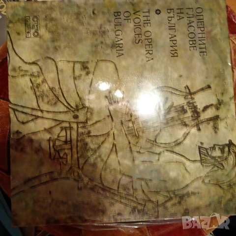 Грамофонни плочи, оперна музика, снимка 11 - Грамофонни плочи - 53191859