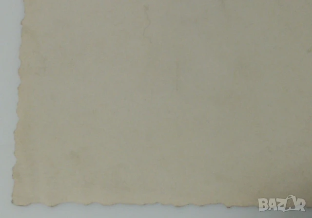 Групова снимка на военни от 1938 г., снимка 12 - Колекции - 51141041