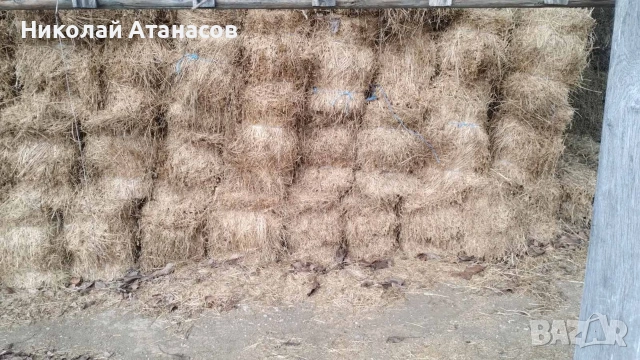 Бали люцерна, снимка 3 - За селскостопански - 53401854