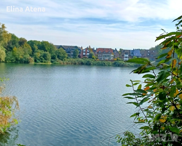 Ние предлагаме работа за болногледачи
