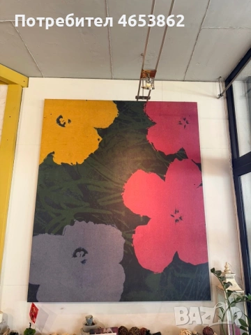 Картинни пана