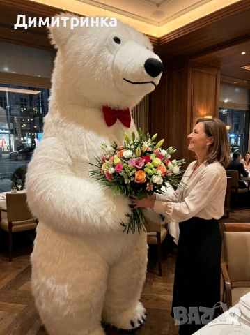 Карнавални костюми  Бяло мече изненада- Стич - Мики маус - Мини маус и др. , снимка 9 - Детегледачки, детски центрове - 50966206