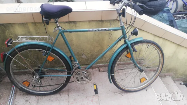 Планински бегач WHIRLWIND, снимка 1