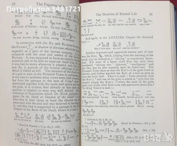 Египетска Книга на мъртвите / The Book of The Dead, снимка 7 - Енциклопедии, справочници - 47889738