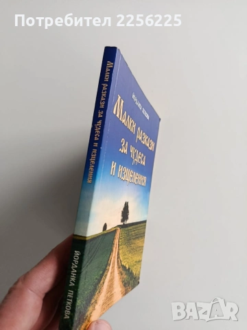 Малки разкази за чудеса и изцеления, снимка 11 - Художествена литература - 53007454