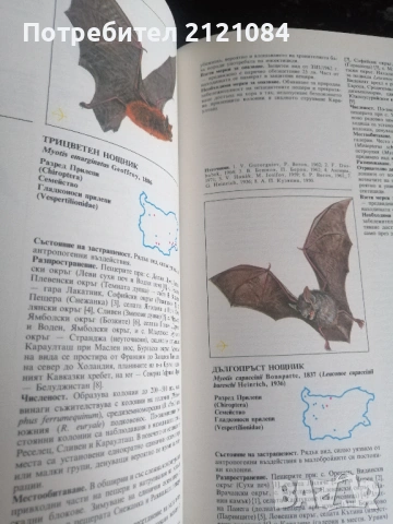 Червена книга на НР България. Том 2: Животни , снимка 6 - Енциклопедии, справочници - 53296861