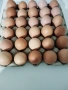 Продавам домашни ,пресни яйца , снимка 2