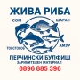 Продавам ЖИВА РИБА на разнос за Първомайци, Горна Оряховица, Лясковец и Велико Търново , снимка 1