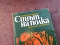 СИНЪТ НА ПОЛКА-КНИГА 0804241011, снимка 2