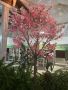 Декоративно дърво за интериор на офиси, кафета, ресторанти, хотели и др. Височина - 2,50, снимка 2