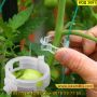 50 броя клипс за поддържане на домати и други растения - КОД 3691, снимка 4