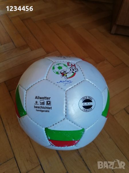 Кожена топка от Европейското по футбол в Германия, снимка 1