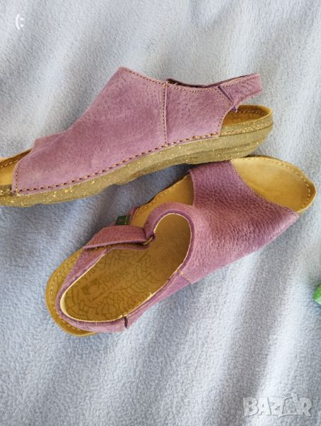 El naturalista номер 39., снимка 1