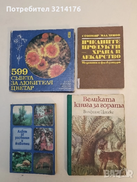 Великата книга за гората - Волфганг Цайске, снимка 1